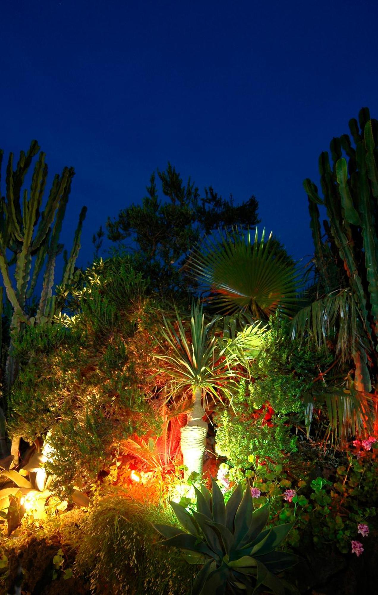 Parco Cartaromana Ischia